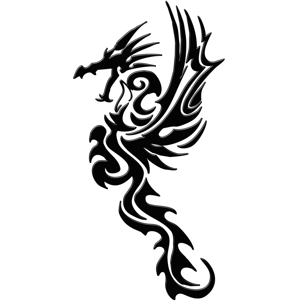 Calligraphy Dragon Illustration